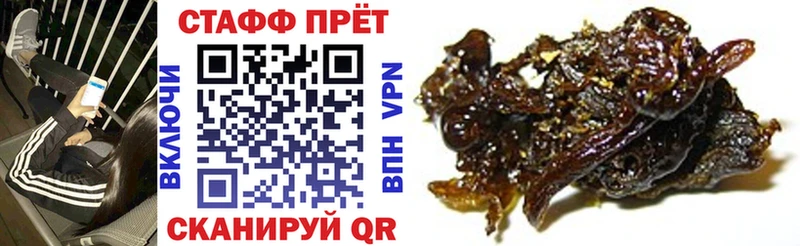 Наркошоп купить СК  ЭКСТАЗИ  Канабис  Меф  Калуга
