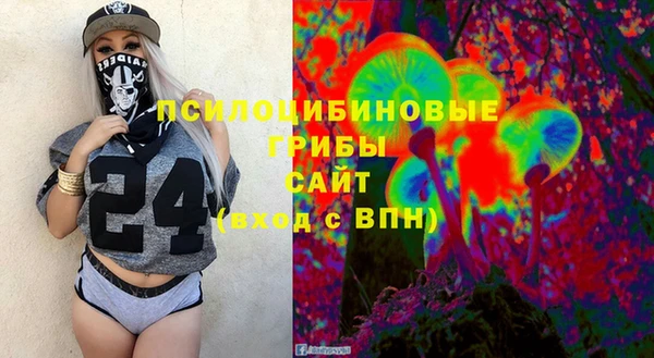 дмт Алексин