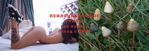 стафф Алексеевка