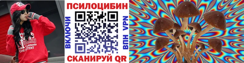 Псилоцибиновые грибы Magic Shrooms  Купить  Калуга 